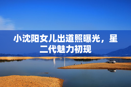 小沈阳女儿出道照曝光，星二代魅力初现