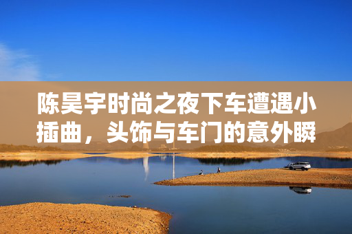 陈昊宇时尚之夜下车遭遇小插曲，头饰与车门的意外瞬间