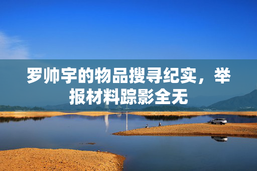 罗帅宇的物品搜寻纪实，举报材料踪影全无