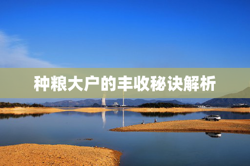 种粮大户的丰收秘诀解析