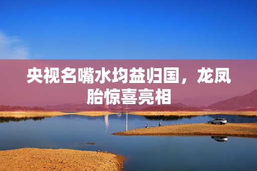 央视名嘴水均益归国，龙凤胎惊喜亮相
