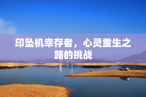 印坠机幸存者，心灵重生之路的挑战