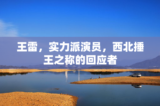 王雷，实力派演员，西北捶王之称的回应者