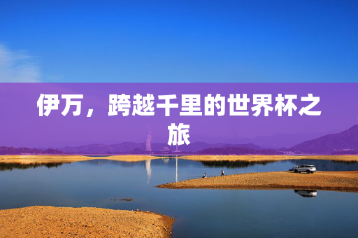 伊万，跨越千里的世界杯之旅