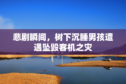 悲剧瞬间，树下沉睡男孩遭遇坠毁客机之灾