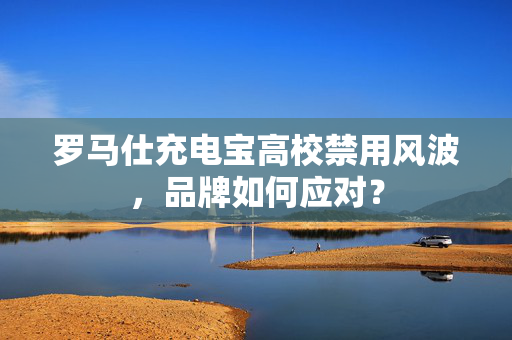 罗马仕充电宝高校禁用风波，品牌如何应对？