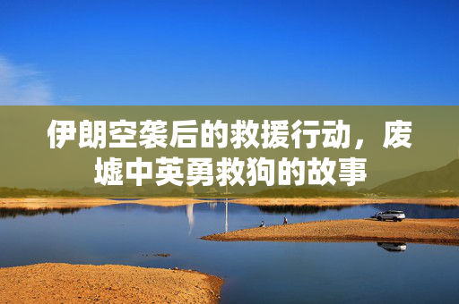 伊朗空袭后的救援行动，废墟中英勇救狗的故事