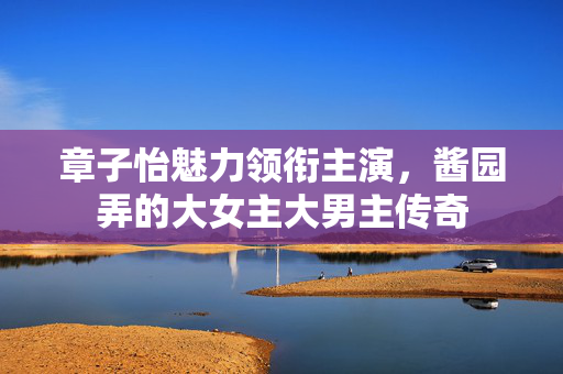 章子怡魅力领衔主演，酱园弄的大女主大男主传奇
