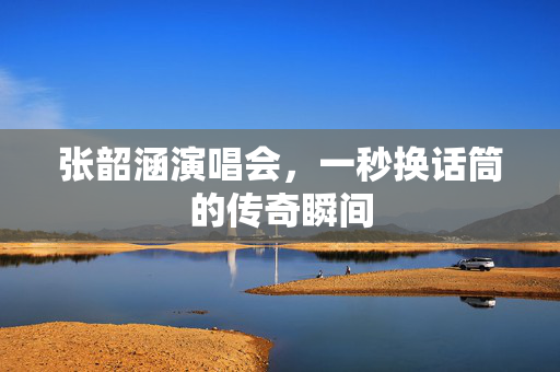 张韶涵演唱会，一秒换话筒的传奇瞬间