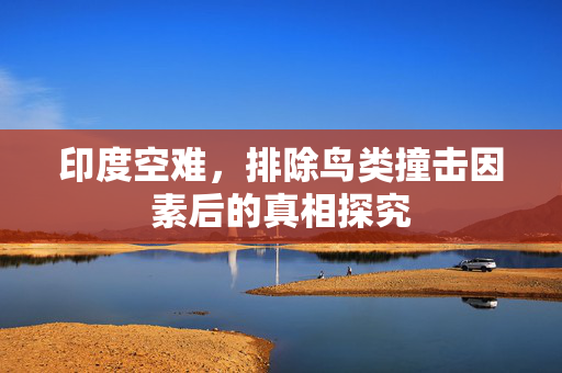 印度空难，排除鸟类撞击因素后的真相探究