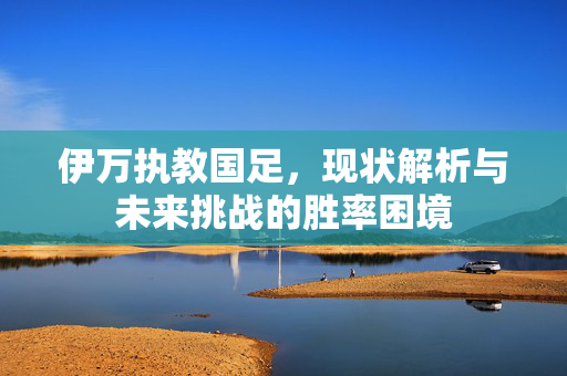 伊万执教国足，现状解析与未来挑战的胜率困境