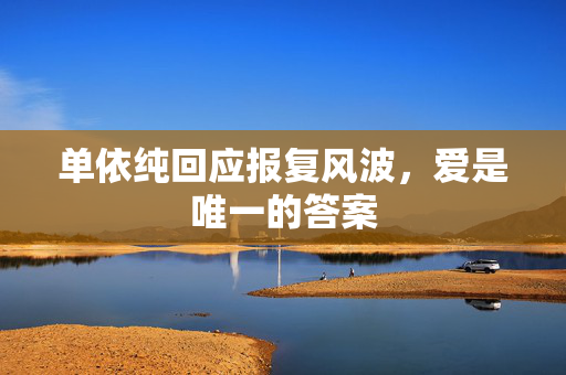 单依纯回应报复风波，爱是唯一的答案