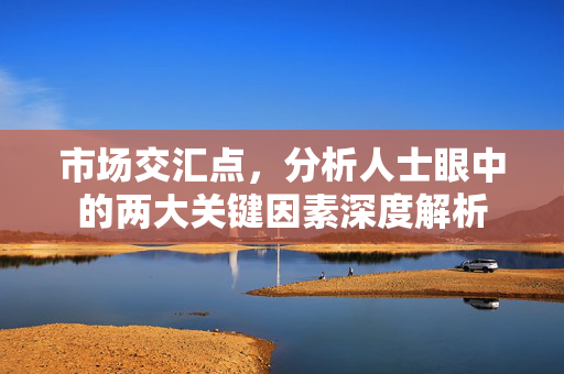 市场交汇点，分析人士眼中的两大关键因素深度解析