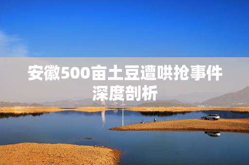 安徽500亩土豆遭哄抢事件深度剖析