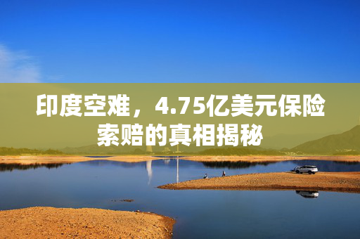 印度空难，4.75亿美元保险索赔的真相揭秘