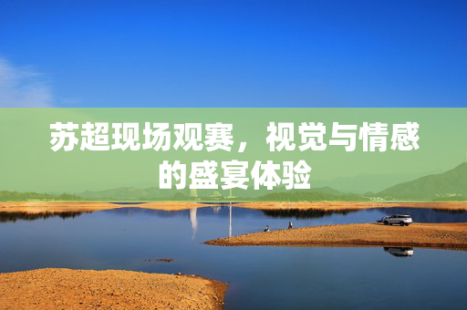 苏超现场观赛，视觉与情感的盛宴体验