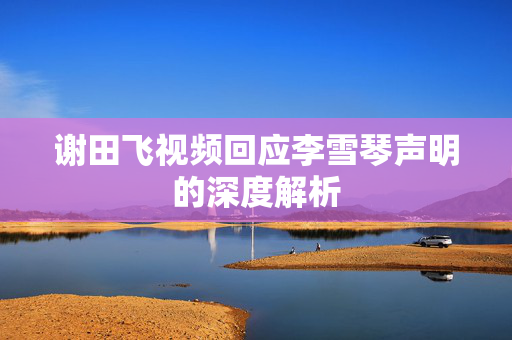 谢田飞视频回应李雪琴声明的深度解析