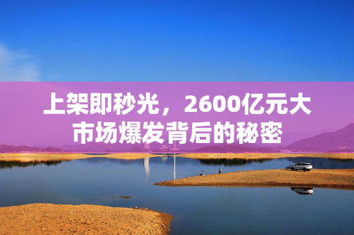 上架即秒光，2600亿元大市场爆发背后的秘密