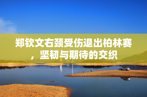 郑钦文右颈受伤退出柏林赛，坚韧与期待的交织