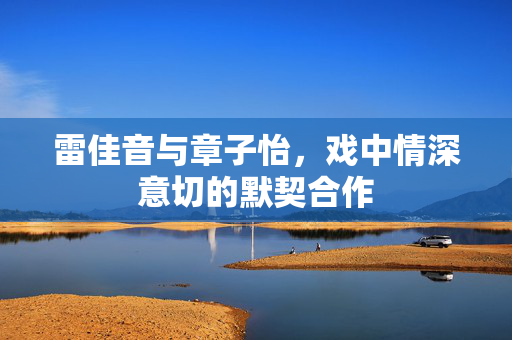 雷佳音与章子怡，戏中情深意切的默契合作