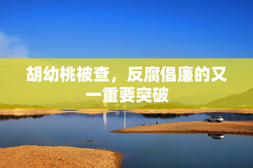 胡幼桃被查，反腐倡廉的又一重要突破