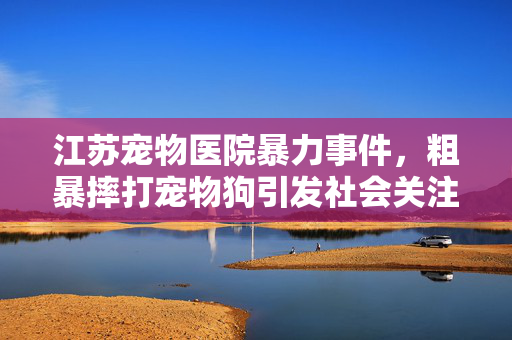 江苏宠物医院暴力事件，粗暴摔打宠物狗引发社会关注