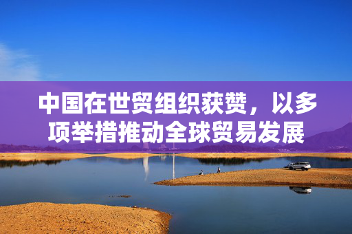 中国在世贸组织获赞，以多项举措推动全球贸易发展