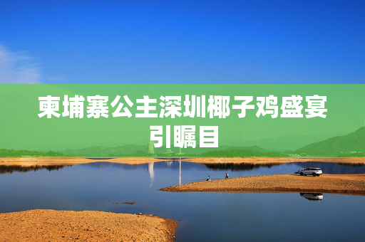 柬埔寨公主深圳椰子鸡盛宴引瞩目