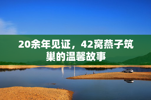 20余年见证，42窝燕子筑巢的温馨故事