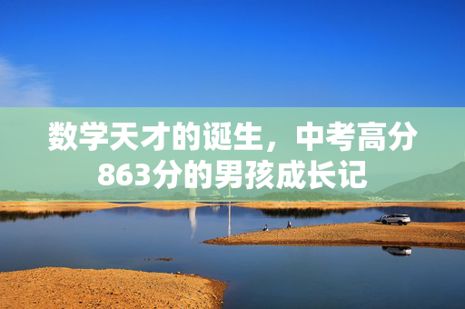 数学天才的诞生，中考高分863分的男孩成长记