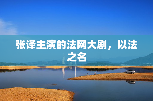 张译主演的法网大剧，以法之名