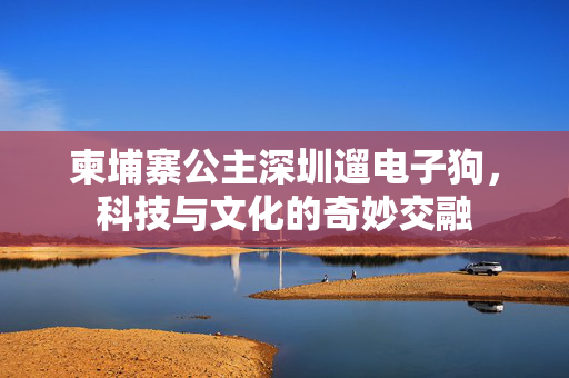 柬埔寨公主深圳遛电子狗，科技与文化的奇妙交融