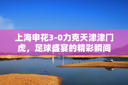 上海申花3-0力克天津津门虎，足球盛宴的精彩瞬间