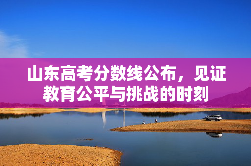 山东高考分数线公布，见证教育公平与挑战的时刻