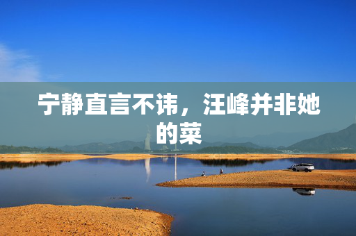宁静直言不讳，汪峰并非她的菜
