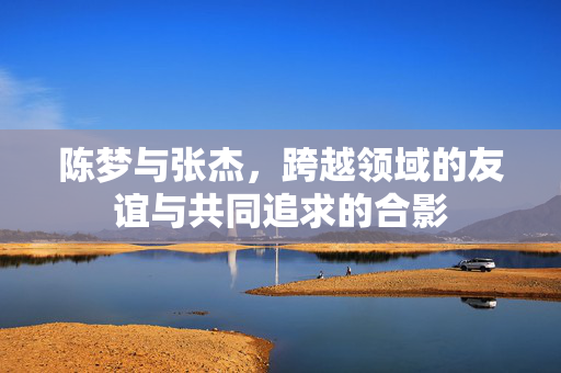 陈梦与张杰，跨越领域的友谊与共同追求的合影