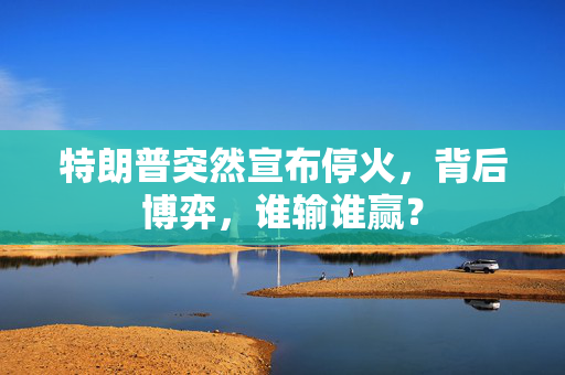 特朗普突然宣布停火，背后博弈，谁输谁赢？