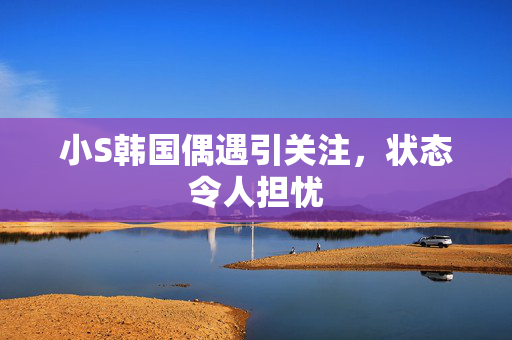 小S韩国偶遇引关注，状态令人担忧