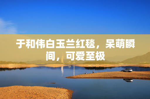 于和伟白玉兰红毯，呆萌瞬间，可爱至极