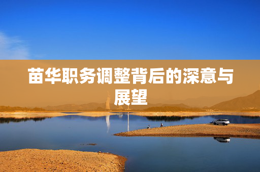 苗华职务调整背后的深意与展望
