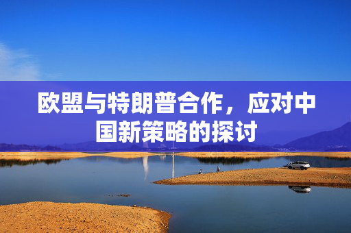 欧盟与特朗普合作，应对中国新策略的探讨