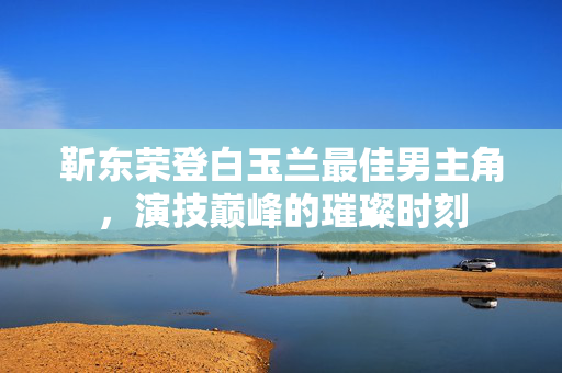 靳东荣登白玉兰最佳男主角，演技巅峰的璀璨时刻
