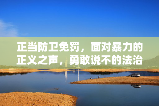 正当防卫免罚，面对暴力的正义之声，勇敢说不的法治之光