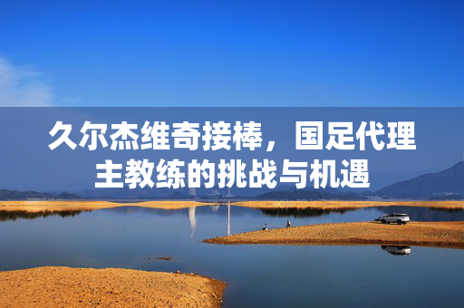 久尔杰维奇接棒，国足代理主教练的挑战与机遇