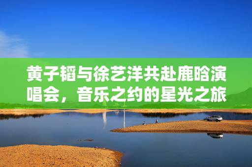 黄子韬与徐艺洋共赴鹿晗演唱会，音乐之约的星光之旅