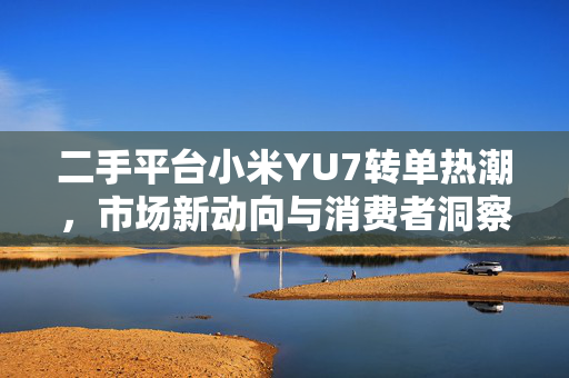 二手平台小米YU7转单热潮，市场新动向与消费者洞察分析