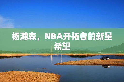 杨瀚森，NBA开拓者的新星希望