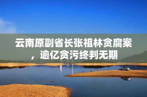 云南原副省长张祖林贪腐案，逾亿贪污终判无期