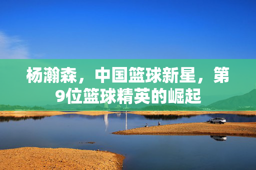 杨瀚森，中国篮球新星，第9位篮球精英的崛起
