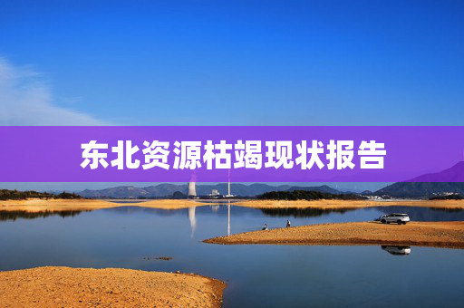 东北资源枯竭现状报告